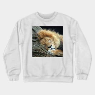 Lion 036 Crewneck Sweatshirt